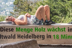 Jede Menge Holz in Heidelberg
